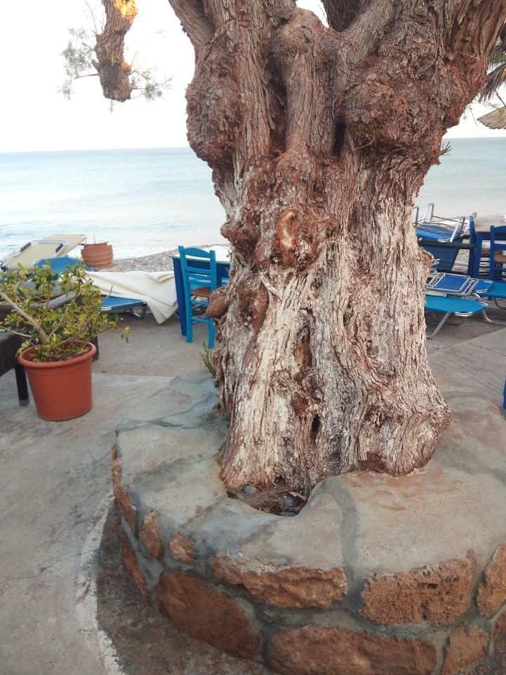 Beachfront Apartment Kato ซาครอส ภายนอก รูปภาพ